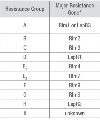Table 2. Major gene resistance groups for blackleg attacking canola. 